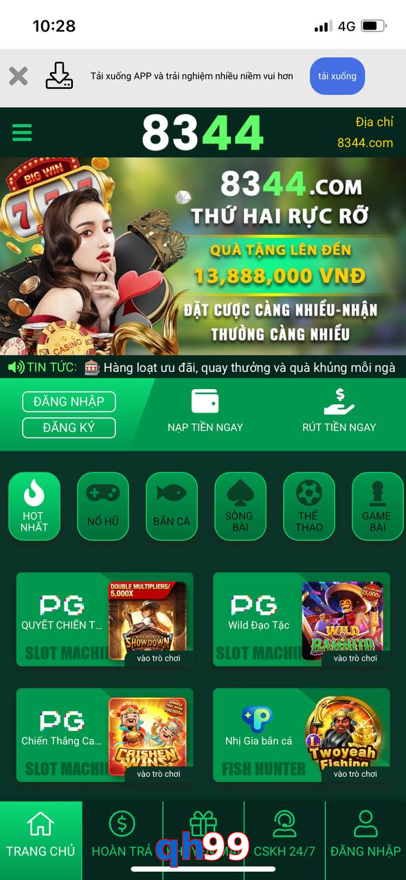 qh99